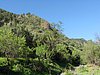 Canaria15_05.JPG