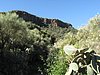 Canaria15_14.JPG