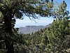 Canaria15_25.JPG