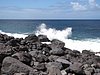 Canaria15_33.JPG
