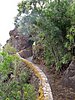 Canaria15_40.JPG