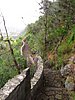 Canaria15_41.JPG