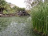 Canaria15_45.JPG