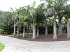 Canaria15_59.JPG