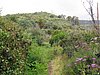 Canaria15_67.JPG