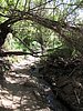 IMG_3298.JPG