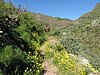 IMG_3320.JPG