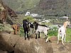IMG_3366.JPG