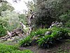 IMG_3387.JPG