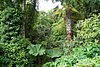 060_150524_Cornwall.JPG