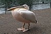 282_210524_Cornwall.JPG