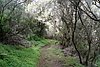 ElHierro160866.JPG
