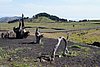 ElHierro160904.JPG