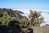 ElHierro161136.JPG