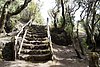 ElHierro161140.JPG