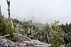 ElHierro161145.JPG