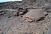 ElHierro161259.JPG