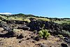 ElHierro161372.JPG