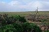 011_Fuerteventura.JPG