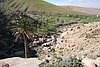 110_Fuerteventura.JPG