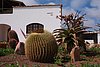 246_Fuerteventura.JPG