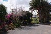 251_Fuerteventura.JPG