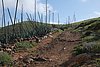 261_Fuerteventura.JPG
