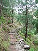 27- Wanderung zu den Roques.JPG