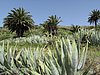 02- bei El Cercado.JPG