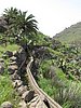 07- im Barranco de Matanza.JPG