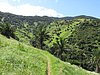 34- Hoehenweg nach Epina.JPG