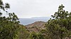 PXL_20231121_114454028.jpg