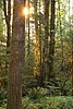 DSC01273.JPG