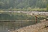 DSC01289.JPG
