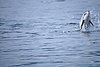 DSC01506.JPG