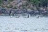 DSC01529.JPG