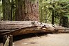 DSC01555.JPG