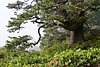 DSC01568.JPG