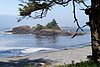 DSC01610.JPG