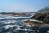 DSC01625.JPG