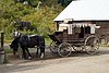 DSC01690.JPG