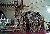 08-21_07- ROM.JPG