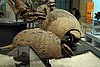 08-21_08- ROM.JPG