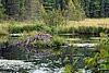 08-25_03- Algonquin Park.JPG