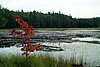 08-25_05- Algonquin Park.JPG