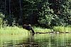 09-01_02- BowronLake.JPG