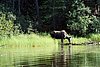 09-01_03- BowronLake.JPG