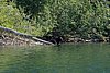 09-03_04- BowronLake.JPG