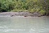 09-03_07- BowronLake.JPG