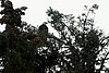 09-06_01- BowronLake.JPG